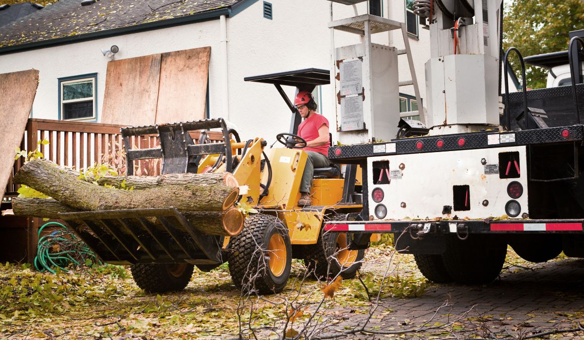 Types of Tree Removal and Related Techniques