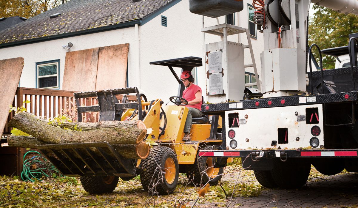 emergency tree removal